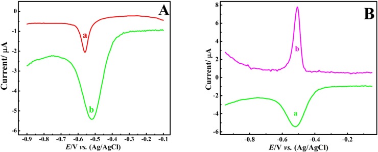 (A) DPV of Pb2+ (1 μM) at (a) bare CPE and (b) CNT/CPE; (B) DPV (a) vs. DPASV (b) of Pb2+ (1 μM) at CNT/CPE in HNO3