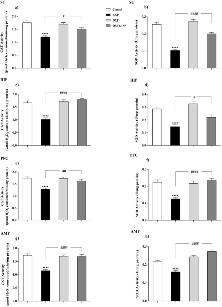 Effect of OXT administration on the activity of CAT and SOD enzymes in different brain regions of 3-NP injected male rats. 3-NP reduced the activity of the CAT in different brain regions but interesting, OXT improved its activity in all areas studied in male rats (a, c, e and g). Reduction of activity of the SOD, which was caused by toxin injection, was also improved by OXT in different areas of male rats (b, d, f and h). Data are presented as means ± SEM (n = 6/group). ****p < 0.0001 compared with the Control; #p < 0.05, ##p < 0.01 and ####p < 0.0001 compared between the 3-NP and 3-NP-OXT groups. OXT: oxytocin; 3-NP: 3-Nitropropionic acid; CAT: catalase; SOD: superoxide dismutase