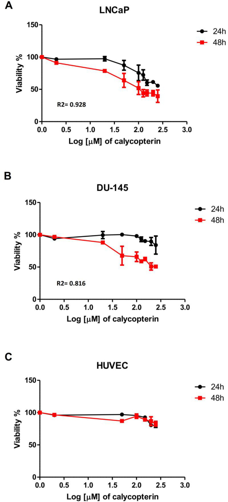 Effect of different concentrations of calycopterin (0 to 250 μM in Log scale) on cell viability after 24 and 48 h assessed by MTT assay. (A) Viability of human prostate cancer LNCaP following calycopterin treatment. (B) Viability of human prostate cancer DU-145 cells following calycopterin treatment. (C) Viability of HUVEC cells following calycopterin treatment. The results are illustrated from four experimental and three biological replicates for each sample (mean ± SD).