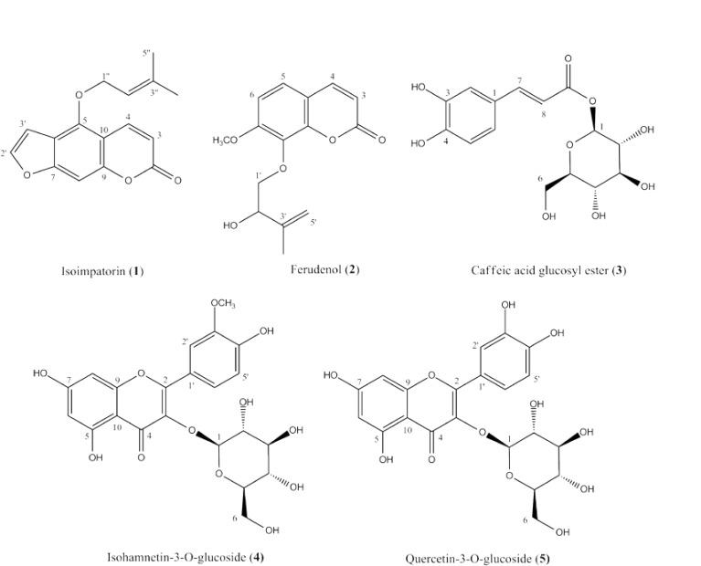 The structures of isolated compounds (1-5) from the aerial parts of P. ferulacea