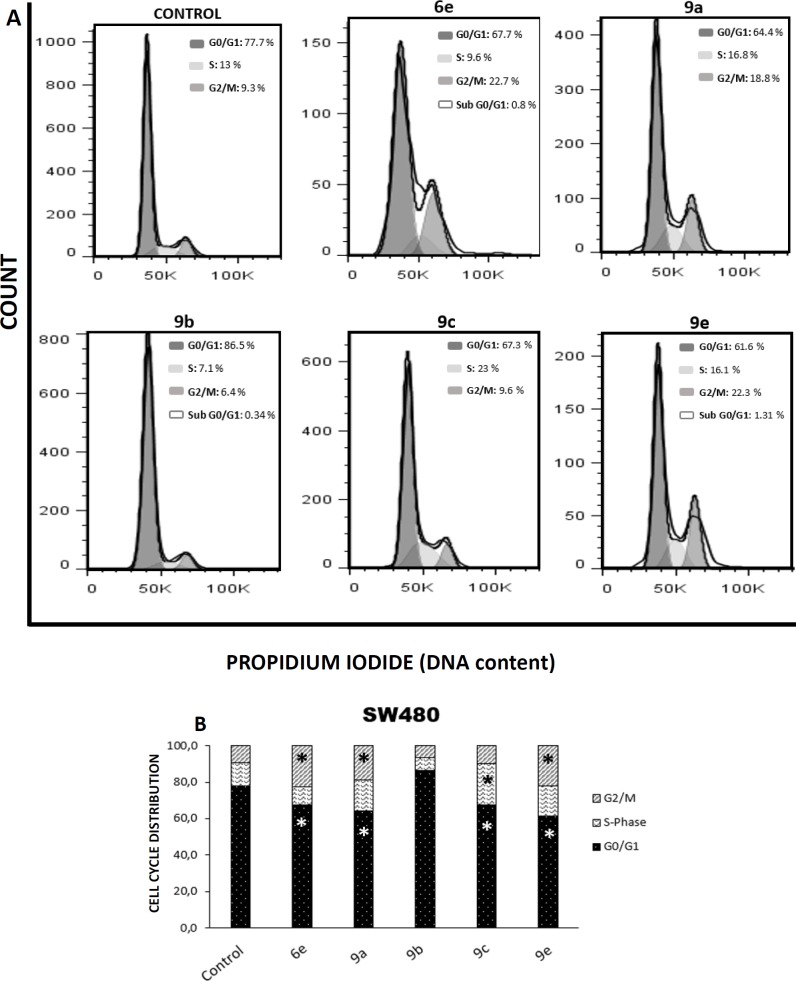 Effect of S-allyl cysteine ester - caffeic acid amide hybrids on cell cycle distribution. (A) Flow cytometry analysis of cell cycle distribution in SW480 cells. (B) The cell cycle distribution in SW480 cells after 48 h of treatment with each hybrid or DMSO 1% (control). p-values lower than 0.05 were considered statistically significant (*p< 0.05)