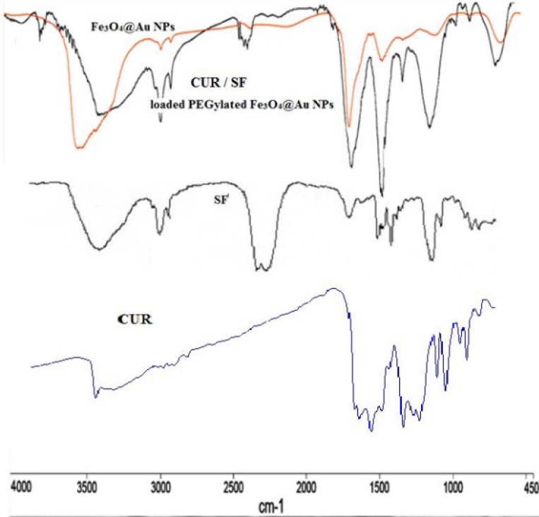FTIR spectra of SF, CUR and NPs