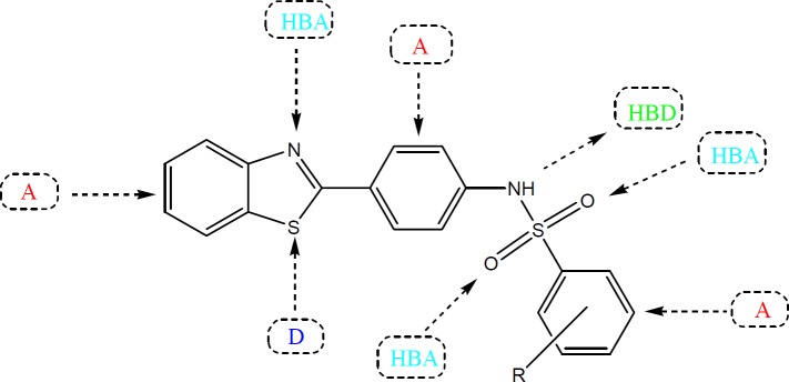 General chemical structure of title compounds showing essential pharmacophoric features of anticonvulsant agents (A: hydrophobic aryl ring, D: Electron donor atom, HBA; Hydrogn bond acceptor; HBD: Hydrogen bond donor).