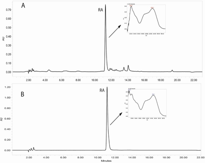 HPLC-UV chromatograms (330 nm) corresponding to the MeOH extract of in-vitro callus culture of Satureja khuzistanica (A) and the authentic standard of rosmarinic acid (B). Separation conditions involved: Sunfire-RP-C18 column (150 × 3.0 mm, 3.5 μm); mobile phase H2O: MeCN, with 0.1% formic acid, flow rate: 0.4 mL/min with an injection volume of 20 μL.
