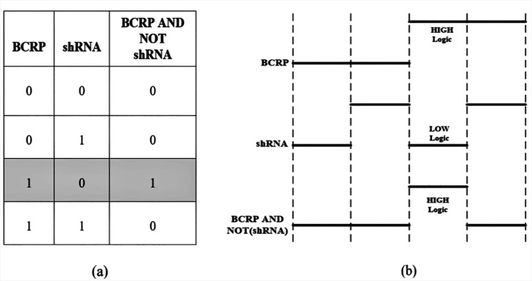 (a) True table of proposed biological circuit based on the data analysis (b) Schematic output of the proposed biological circuit based on the analysis