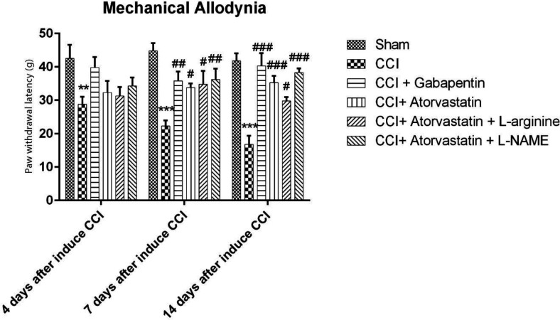 Effects of atorvastatin administration on CCI-induced mechanical allodynia assessed by von Frey hair test (n = eight rats per each group). *P < 0.05, **P < 0.01, *** P < 0.001 vs. Sham, #P < 0.05, ## P < 0.01, ### P < 0.001 vs. CCI, &P < 0.05, &&P < 0.01, &&&P < 0.001 vs. CCI + ATOR + LOS