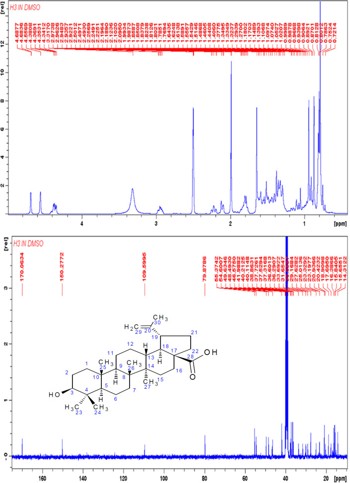1H and 13C NMR Spectra of Compound H3