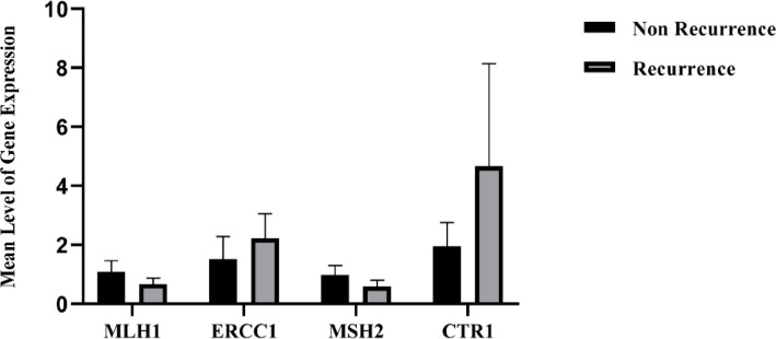 Expression levels of MLH1, ERCC1, MSH2, and CTR1 in NR and R groups (mean ± SD)