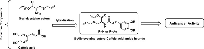 Design of S-allyl cysteine ester-caffeic acid amide hybrids as anti-cancer agents