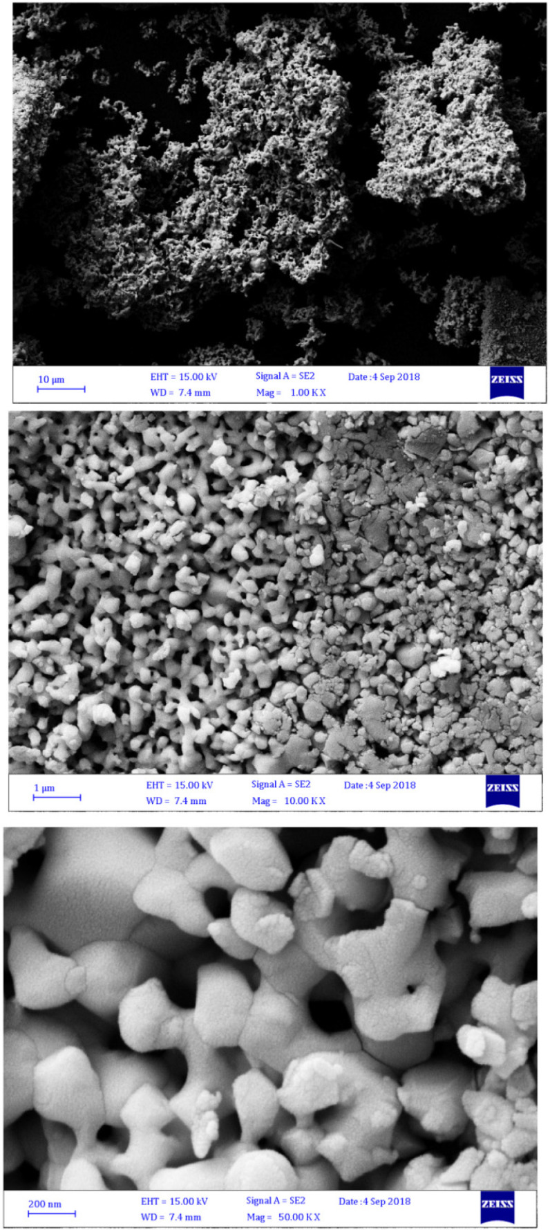 SEM bismuth oxide nanoparticle