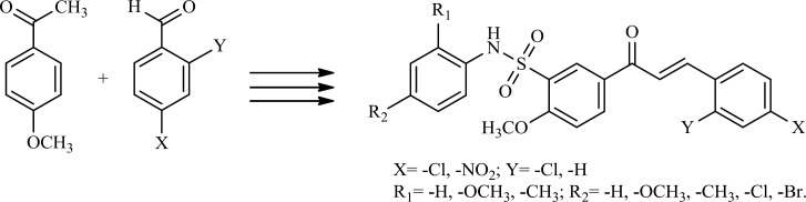 Synthesis of Chalcone sulfonamides