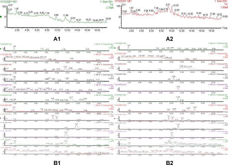 Total ion chromatogram and selected ion recording of quinocetone 3a in HepG2 cells incubated for 24h (A: Total ion chromatogram, A1 for the control group, A2 for the drug group; B: Selected ion reaction spectras, B1 for the control group, B2 for the drug group