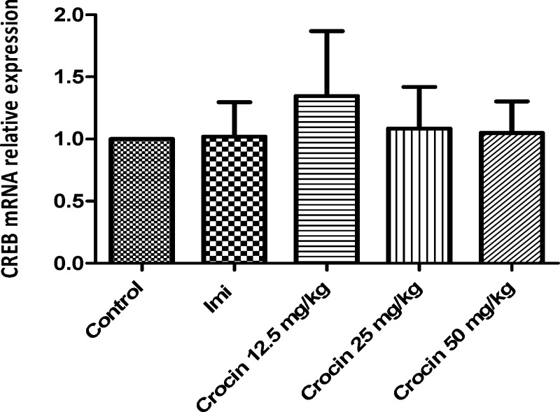 Effect of crocin on CREB mRNA level in the rat cerebellum using real time PCR. The transcript level of each sample was normalized against β-actin transcript level. These reactions are representative of four separate experiments. Data are expressed as the mean ± SEM. *p < 0.05 vs control group