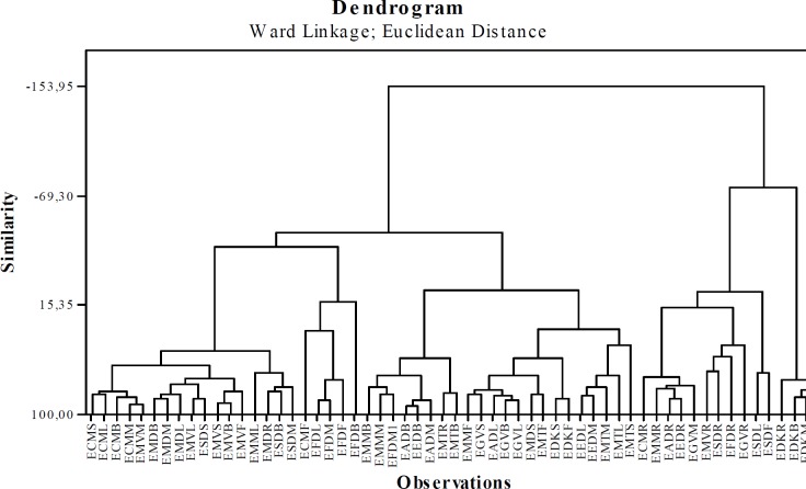 Dendrogram results obtained by Euclidean distance and Ward Linkage method.