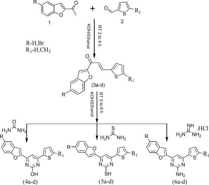 Synthesis of benzofuran pyrimidine derivatives (4a-d), (5a-d) and (6a-d).