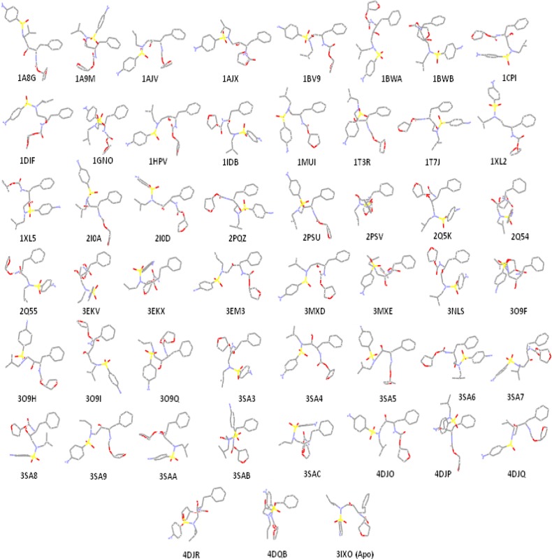 Amprenavir binding ensembles as the result of docking into the different conformations of the HIV-1 PR; each conformation of the target is designated by its relevant PDB code