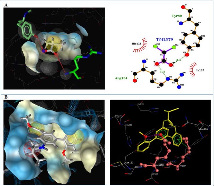 Interactions of A) DCA and B) compound 4d with the residues in the binding site of PDK (2BU8) receptor.