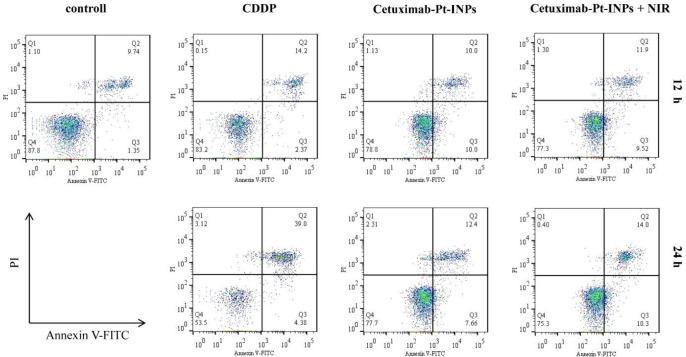 Flow cytometry analysis of A431 cells after 12 h or 24 h incubation with CDDP, Cetuximab-Pt-INPs (with or without NIR laser irradiation).