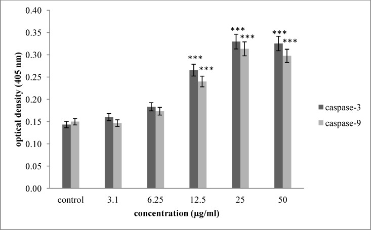 Effect of saponin fraction isolated from O.erinaceus on activation of caspase -3 and caspase -9. As shown, incubation of Hela-S3 cells with increasing concentration of brittle star saponin were enhanced significantly 24 h after treatment. P<0.05 were considered significant between experimental groups and control