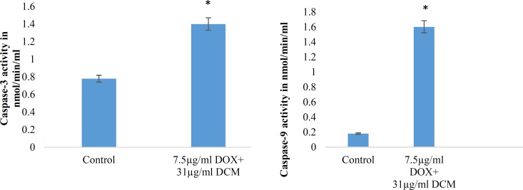 Synergic effect of brittle star dichloromethane extract and Doxorubicin on Caspase-3 and 9 activity in EL4 cells. (A) Histogram represents caspase-3 activity in untreated and synergic treated EL4 cells whit brittle star dichloromethane extract and Doxorubicin (31+7.5 µg/mL) treated EL4 cells. (B) Histogram represents caspase-9 activity in untreated control and brittle star dichloromethane extract (31+7.5 µg/mL).