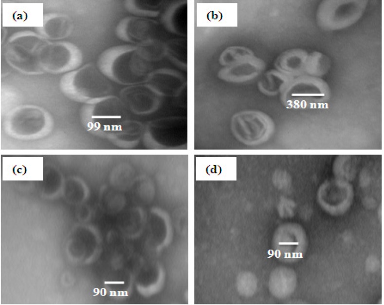 Transmission electron microscopy of DHA and EPA loaded liposomes (a: Extruded; b: Bath sonicated; c: Probe sonicated and d: Bath and probe sonicated liposomes).