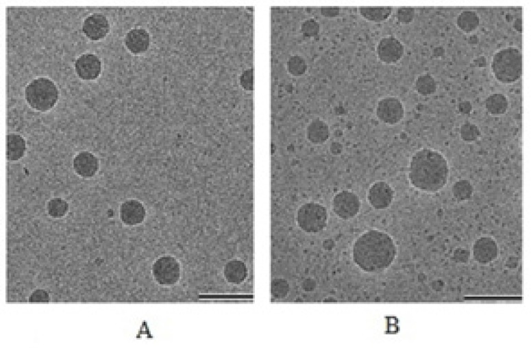 Cryo-electron microscopic images of formulations; A = Placebo; B = Drug loaded nanoemulsion