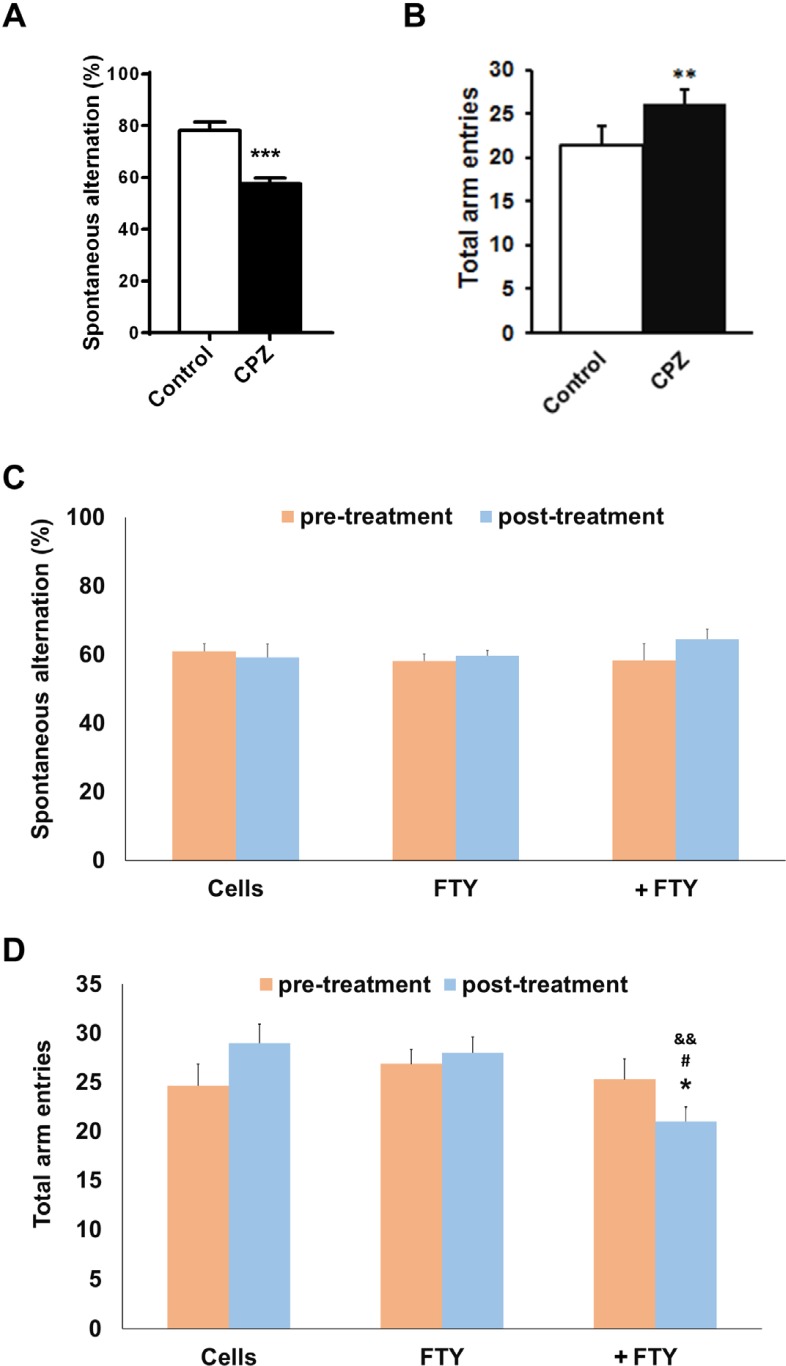 Evaluating the effect of fingolimod on Y-maze behavioral parameters in cuprizone-induced demyelinated mice transplanted with neural progenitors. Animals received cuprizone (CPZ) for 10 weeks, then transplanted with human induced pluripotent stem cell derived neural progenitors (hiPSC-NPs). Y-maze test was performed prior to CPZ, 10 weeks after CPZ feeding and 21 days after NPs transplantation with or without fingolimod (FTY) treatment. (A) Changes in spontaneous alternations following 10 weeks of CPZ feeding. (B) Changes in total arm entries following 10 weeks of CPZ feeding. (C) Changes in spontaneous alternations in CPZ-treated animals following 21 days of treatments. (D) Changes in total arm entries in CPZ-treated animals following 21 days of treatments. Cell: animals that received NPs; FTY: Animals that received fingolimod without cell transplantation; +FTY: Animals that received fingolimod and NPs transplantation; *P < 0.05, **P < 0.01, ***P < 0.001, compared to pre-treatment, &&P < 0.01 compared to Cells, #P < 0.05 compared to +FTY