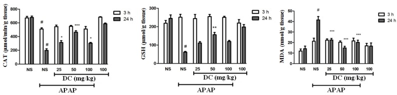 Effects of doxycycline (DC) on the activity of catalase, GSH and MDA levels in the liver. The animals were treated with DC (25, 50 and 100 mg/kg, i.p.) or normal saline (NS) just before APAP 400 mg/kg