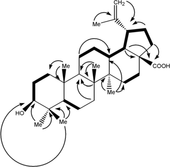 DQF-COSY(in blod) and key (2,3) J(H→C) HMBC cross-peaks in betulinic acid