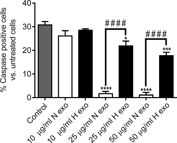 The in-vitro anti-apoptotic potential of N-exo and H-exo. The caspase-3/7 activity was measured in CoCl2 apoptosis-induced hESC-CMs after treatment with different concentrations of N-exo and H-exo (10, 25 l, 50 μg/mL). N-exo and H-exo inhibited hESC-CMs apoptosis. Each column represents the mean±SEM of three experiments. (* p<0.05, *** p<0.001, **** p<0.0001 vs. control; # # # # p<0.0001