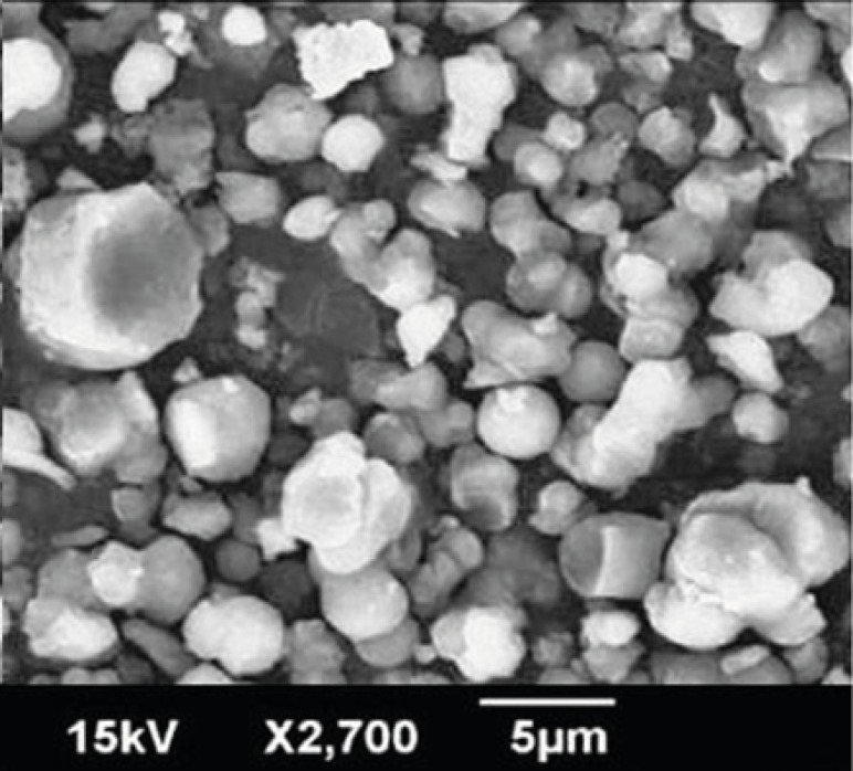 SEM of Rifampin-loaded silica nanoaggregates