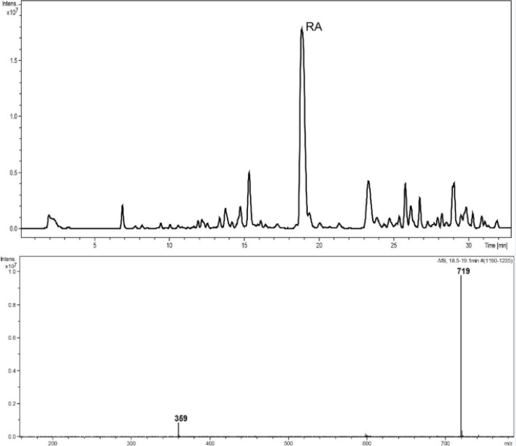 HPLC–ESIMS trace, base peak chromatogram, negative ion mode, m/z 150–1500, MeOH extract of callus culture of S. khuzistanica. The molecular weight of 359 is assigned to (M-H)- and 719 to (2M-H)- of rosmarinic acid.