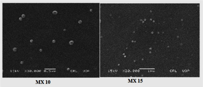 SEM images of MX-loaded nanoparticles (MX 10, MX 15)