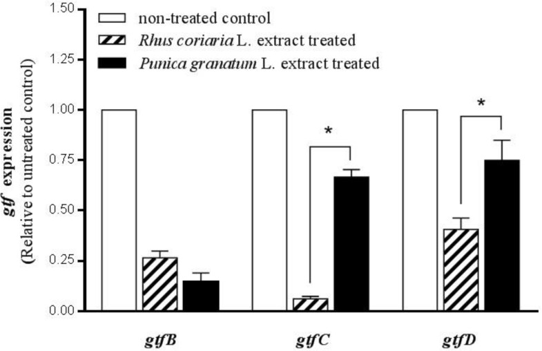 Comparison effects of Punica granatum L. flower and Rhus coriaria L. fruit water extracts on gtfB, gtfC, and gtfD gene expression. The planktonic cultures of S. mutans were treated with MBIC (sub-MIC) level of water extracts (6.125 mg/mL for Punica granatum L. and 0.39 mg/mL for Rhus coriaria L.). The expression rate in non-treated cultures (control) was considered to be 1. Stars (*) in-between the columns indicate significant differences (n-fold) between the groups (P < 0.05