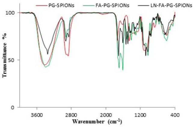 FTIR spectrum of PG-SPIONs (red color), FA-PG-SPIONs (green color) and LN-FA-PG-SPIONs (black color)