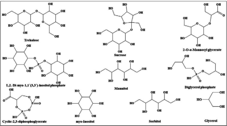Chemical structures of osmolytes classified in polyols