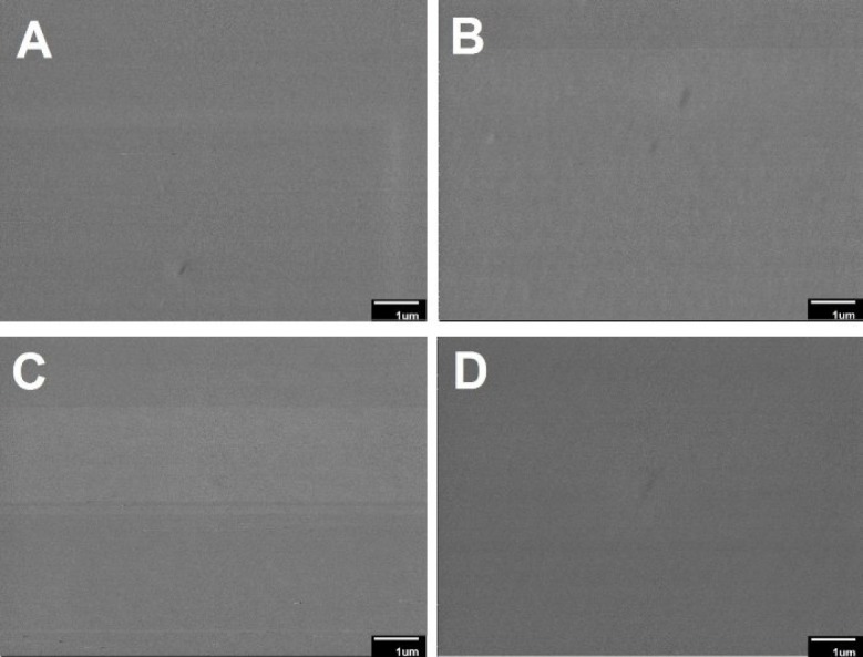 The SEM diagrams of film samples: (A) f-C/P (film-Chitosan/PVA), (B) f-C/P/D1% (film- Chitosan/PVA/Doxycycline 1%),(C) f-C/P/D1%/G0.05% (film-Chitosan/PVA/Doxycycline 1%/Genipin 0.05%) and (D) f-C/P/D1%/G0.1% (film-Chitosan/PVA/Doxycycline 1%/Genipin 0.1%).
