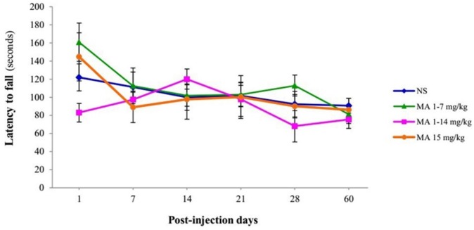 Assessment of latency to fall off the rotarod. Rats received repeated escalating (1-7 mg/kg; n = 12, or 1-14 mg/kg; n = 10), or constant doses of MA (15 mg/kg; n = 10). Rats treated with normal saline (NS) served as controls (n = 12). Latency time to fall off from rotarod with escalating speed were measured on and assessed behaviorally on 1, 7, 14, 21, 28 and 60 days after final injection. Values are expressed as mean ± SEM. Repeated-measures ANOVA revealed no significant difference between groups