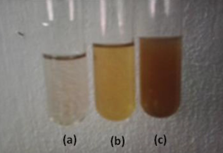 (a)AgNPs solution (b)Aqueous Extract of P. betle (c) Ag-Extract NPs