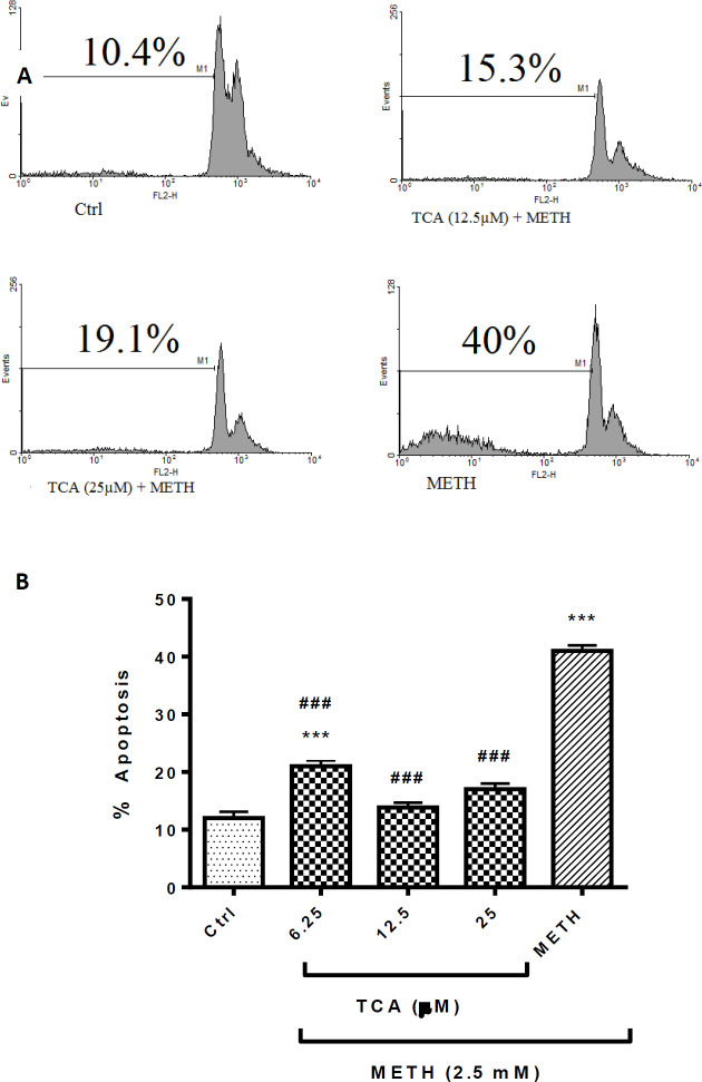 (A) Flow cytometry histograms of apoptosis assays by the PI method in PC12 cells Cells were treated with TCA (12.5 and 25 µM) for 24 h in the presence or absence of METH (2.5 mM). (B) The bar chart illustrates data as mean ± SEM of six separate experiments. ***P < 0.001 vs. control group, ###P< 0.001 vs. METH treated group