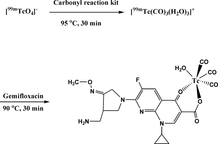 preparation and proposed structure of labeled gemifloxacin via carbonyl core
