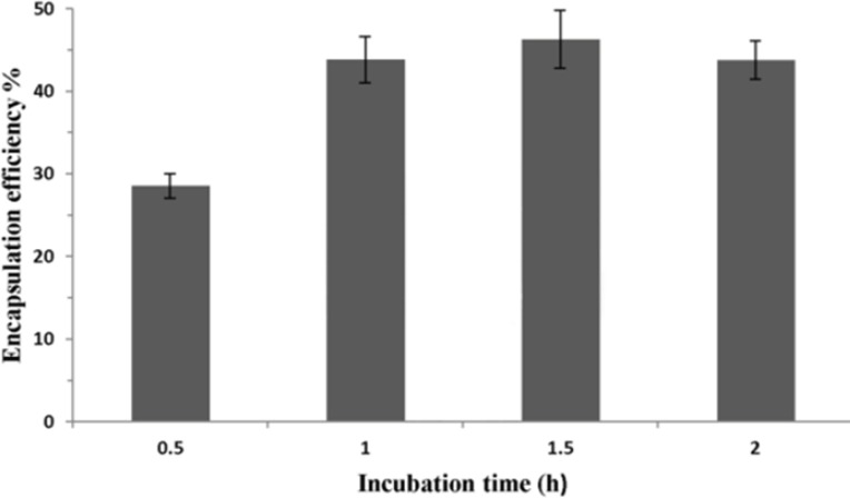 Effect of incubation time on P5 encapsulation efficiency. Lipid concentration and ethanol concentration were 40 mM and 30% (v/v), respectively. Incubation time was 1 h. Error bars indicate the standard deviation of triplicate measurements