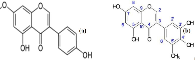 (a) Genistein (b) 5’-MethylGenistein (LH2b)
