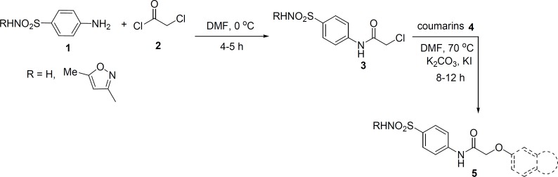 Synthesis of various sulfonamide derivatives 5.