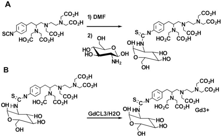 Schematic of synthesis of a) p-SCN-Bn-DTPA-DG b) Gd3+-p-SCN-Bn-DTPA-DG