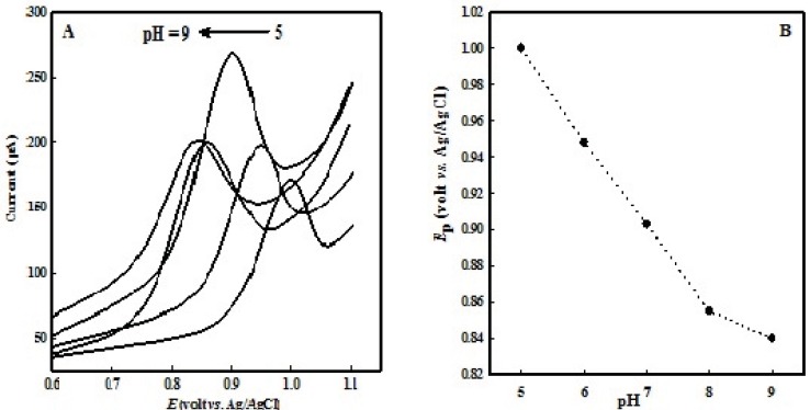(A) LSVs of 100  M OMZ at the EPG electrode in various pHs of buffer solution (from 1 to 5: 5.0, 6.0, 7.0, 8.0, 9.0). (B) Dependence of Ep with pH solution; scan rate 100 mV s-1.