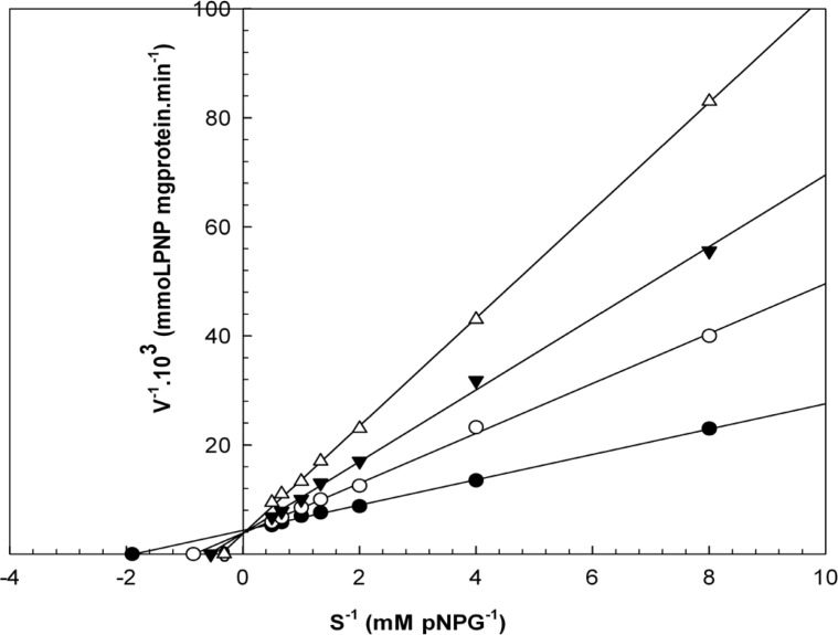Lineweaver-Burk plots derived from the inhibition of α-glucosidase by 1,8-cineole. α-glucosidase was treated with each stated concentration of pNPG (0.1252- mM) in the absence and presence of 1,8-cineole. The concentrations of 1,8-cineole were: (●) no inhibitor; (○) 0.130 μL/mL; (▼) 0.520 μL/mL; and (Δ) 1.260 μL/mL. The enzyme reaction was performed by incubating the mixture at 37ºC for 30 min.