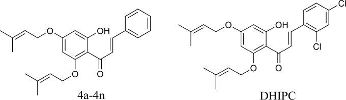 Structure of compounds 4a-4n and DHIPC