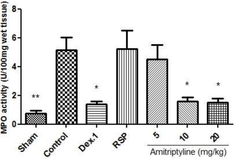 Effect of amitriptyline (5, 10, 20 mg/kg, i.p.) on myeloperoxidase (MPO) enzyme activity in the colonic tissue; Animals were reserpine induced (6 mg/kg) depressed and colitis was also induced; i.p. =intraperitoneally, RSP= reserpine, Dex.1=dexamethasone (1 mg/kg); Values are presented as mean ± S.E.M of six rats in each group; * P<0.05 compared to control, one-way ANOVA followed by Tukey test