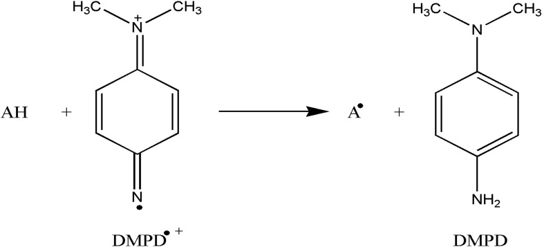 Reaction scheme between antioxidant (AH) and DMPD•+ radical cation